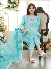 Light Blue Embroidered Organza 3-Piece – Eid Edition